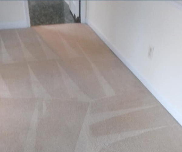 Result of hardwood floor cleaning
