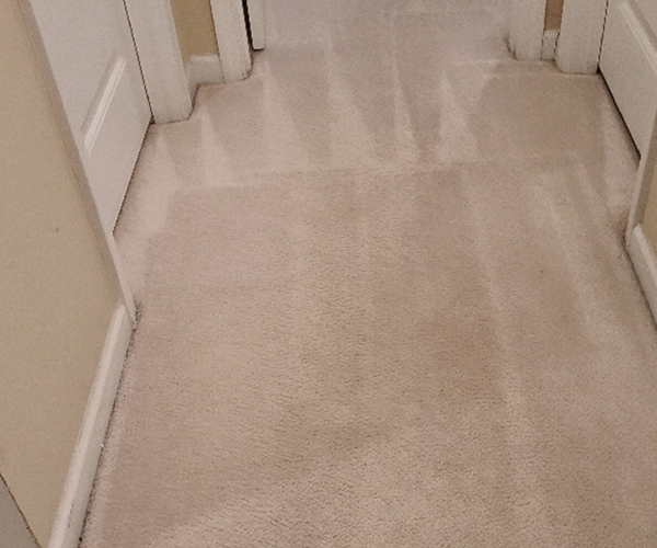 Result of carpet cleaning - Floor Pro Quality Cleaning Lexington SC